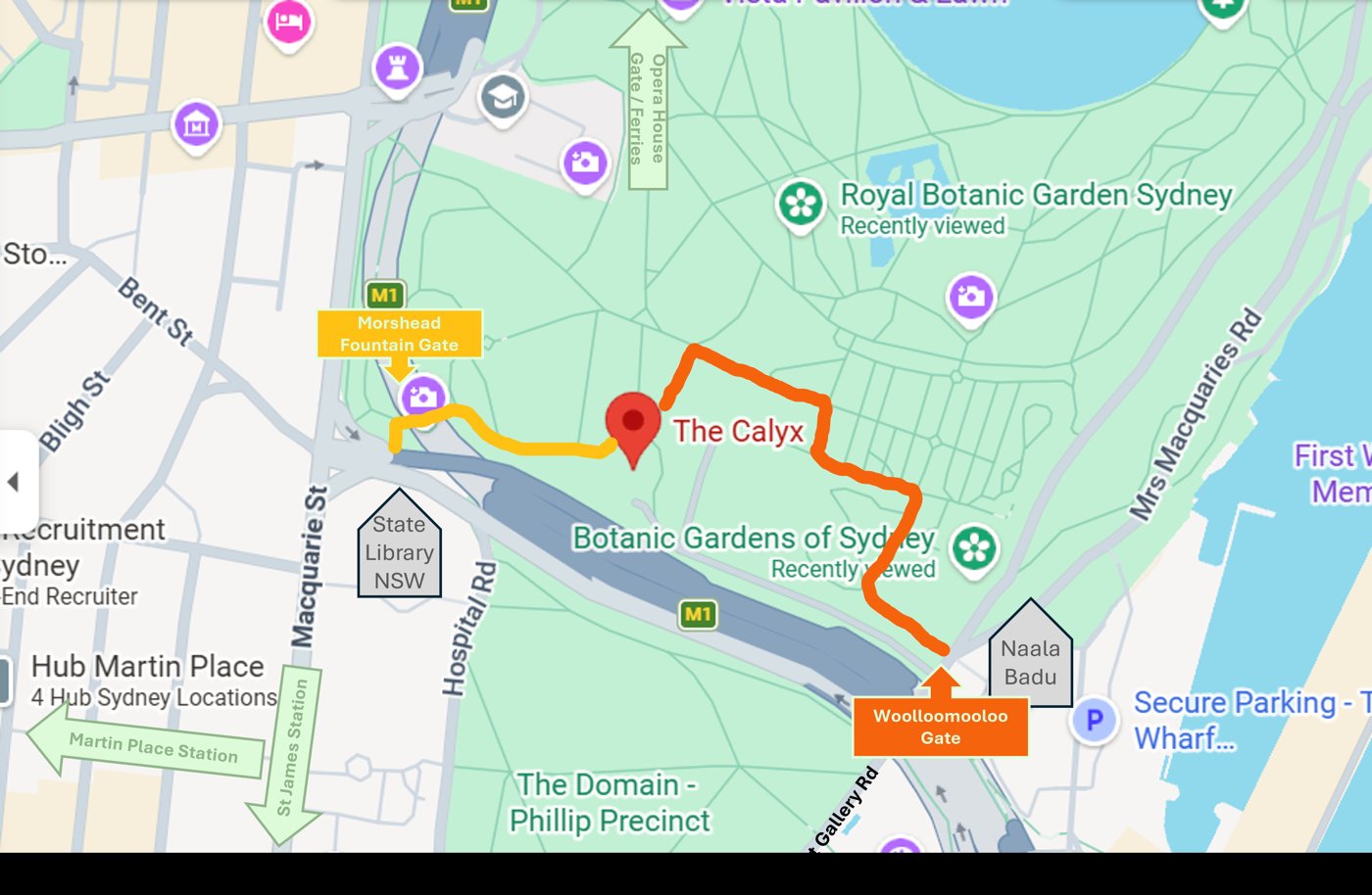 Map of the Royal Botanic Garden showing walking routes from Morshead Fountain Gate and Woolloomooloo Gate to The Calyx